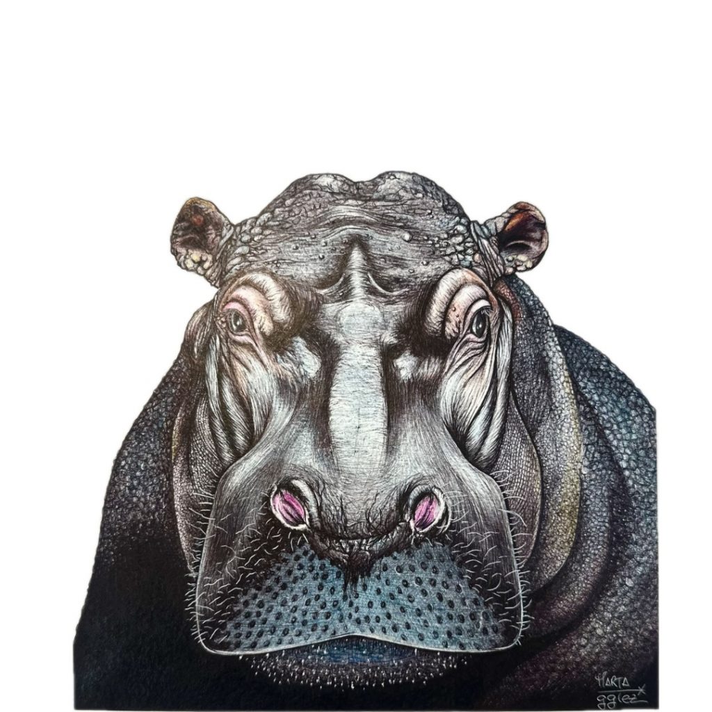Retrato de un Hipopótamo