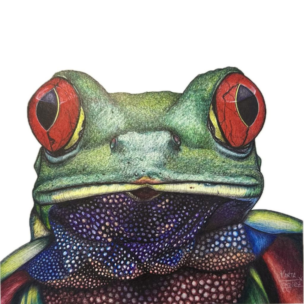Retrato de una Rana